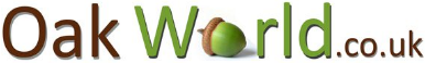 feature-store-image