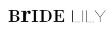 feature-store-image